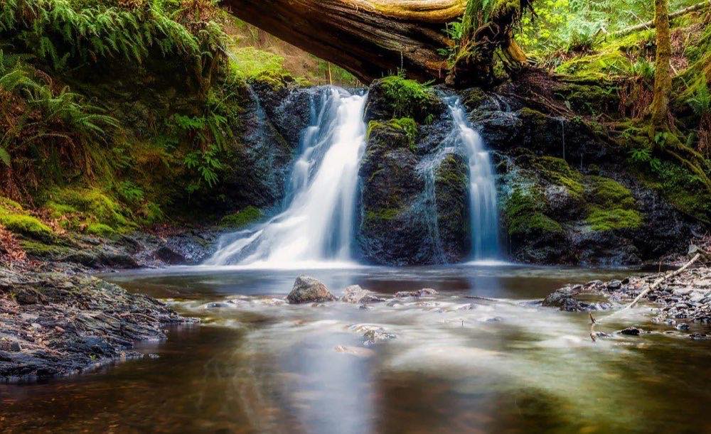 waterfalls, stream, trees, moss