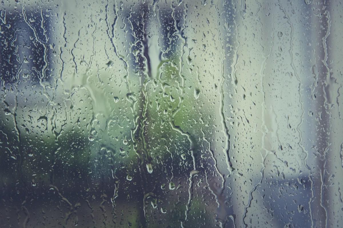 rain stoppers, wallpaper 4k, nature background, 4k wallpaper 1920x1080
