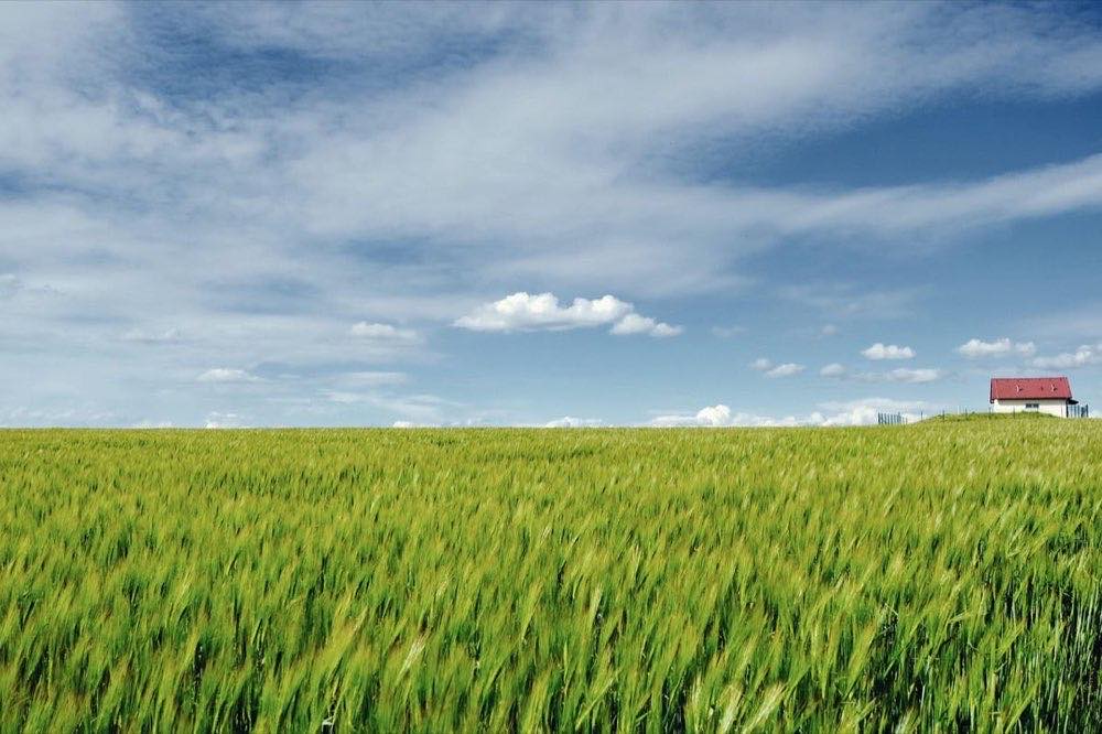 Paisaje donde conviven tonos cálidos del sol y azules de sombra