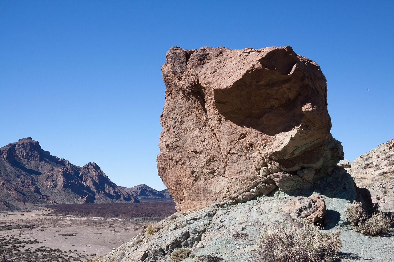 Composición en paisaje: primeros planos con fuerza