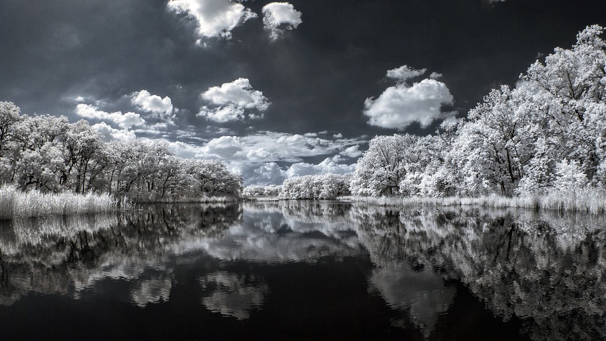 Paisaje infrarrojo con árboles blancos reflejados en un lago y cielo oscuro