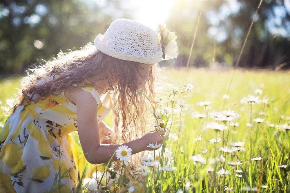 picking flowers, daisies, child, nature
