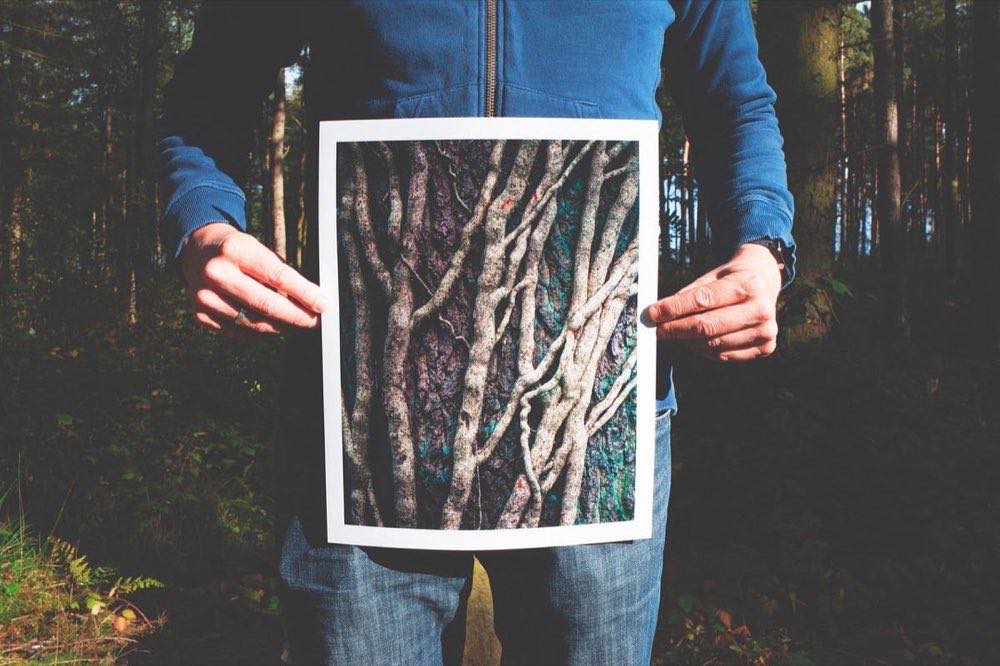 people, nature, man, trees