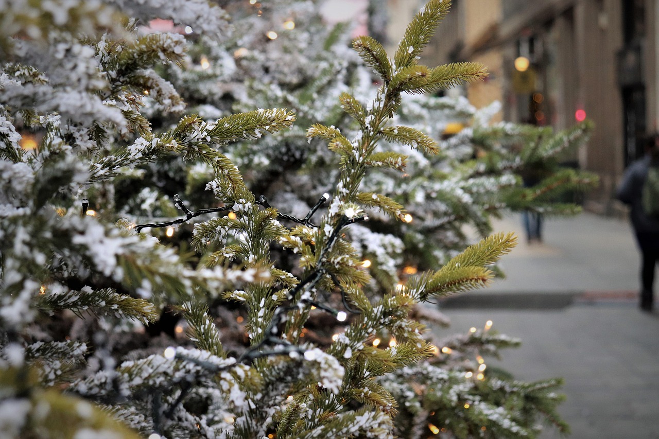 Luces de la ciudad en diciembre: guía nocturna