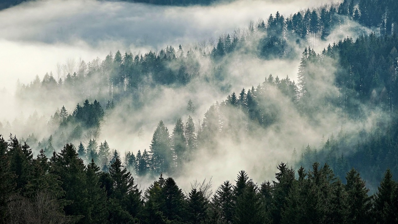 Niebla: exposición y atmósfera