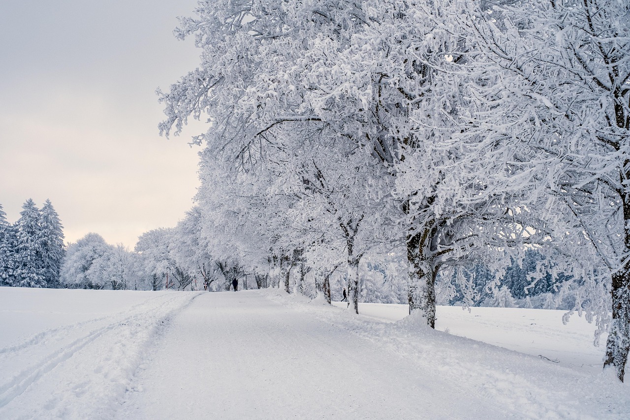 Nieve: exposición y balance de blancos correctos