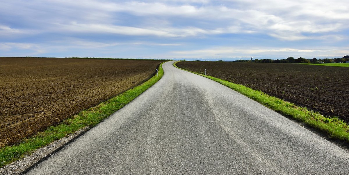 Camino recto entre campos