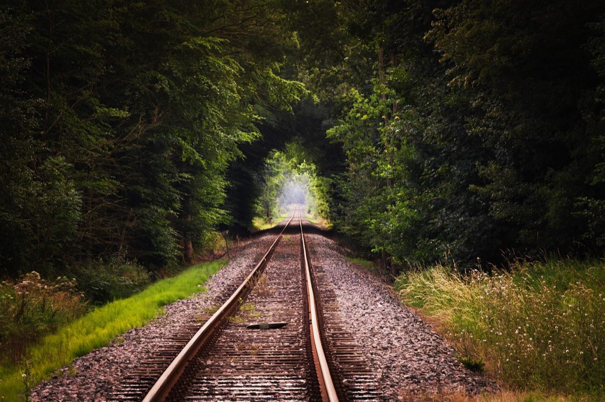 Vías de tren que convergen en un túnel de vegetación