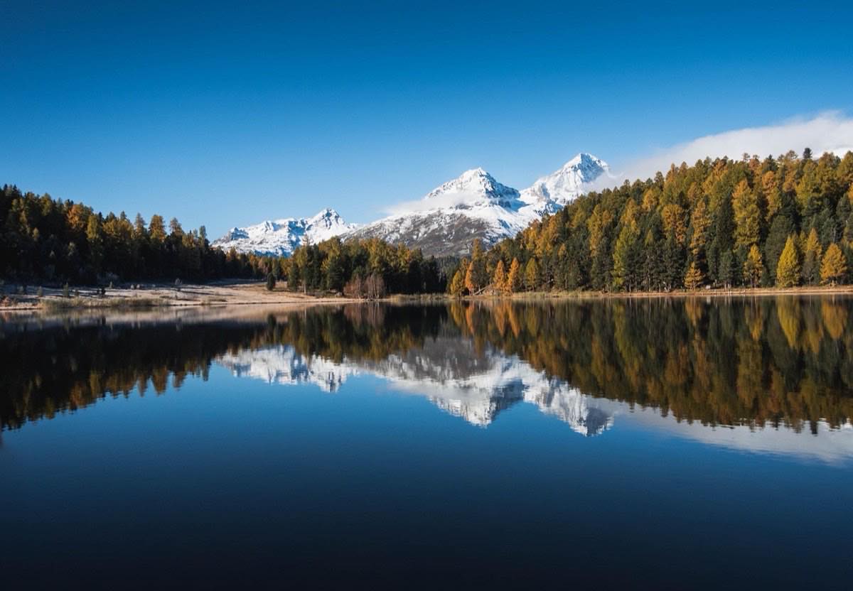 lake, mountains, trees, alps