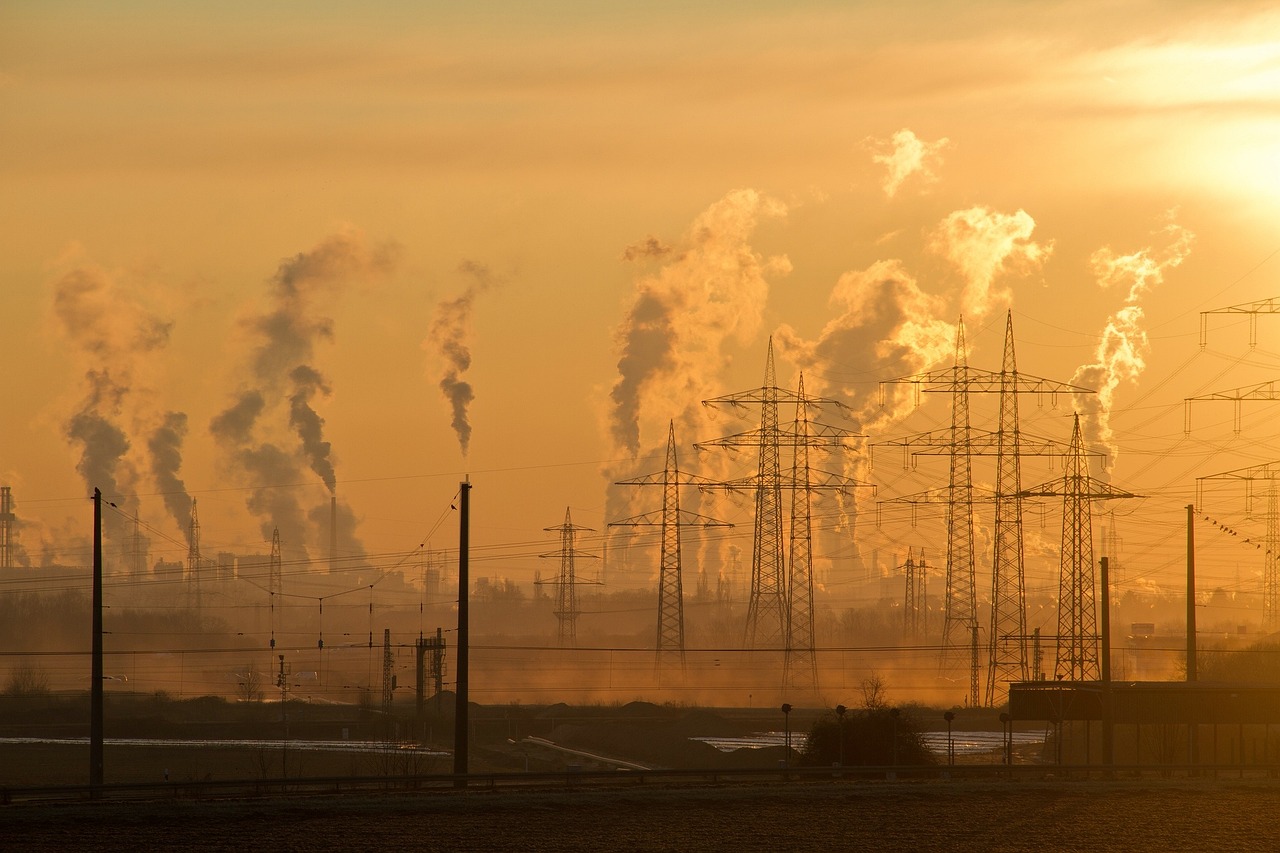 Retrato ambiental: contar historias con contexto
