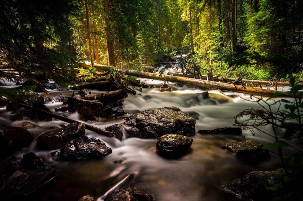 creek, forest, landscape, nature