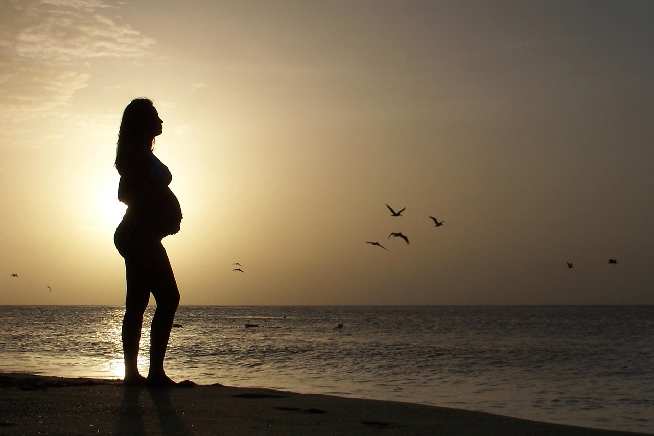 Silueta de una mujer embarazada a contraluz en la playa al atardecer