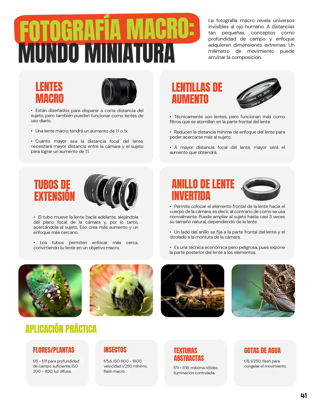 Tarjeta 23 de Enfogram: Fotografía macro: mundo miniatura