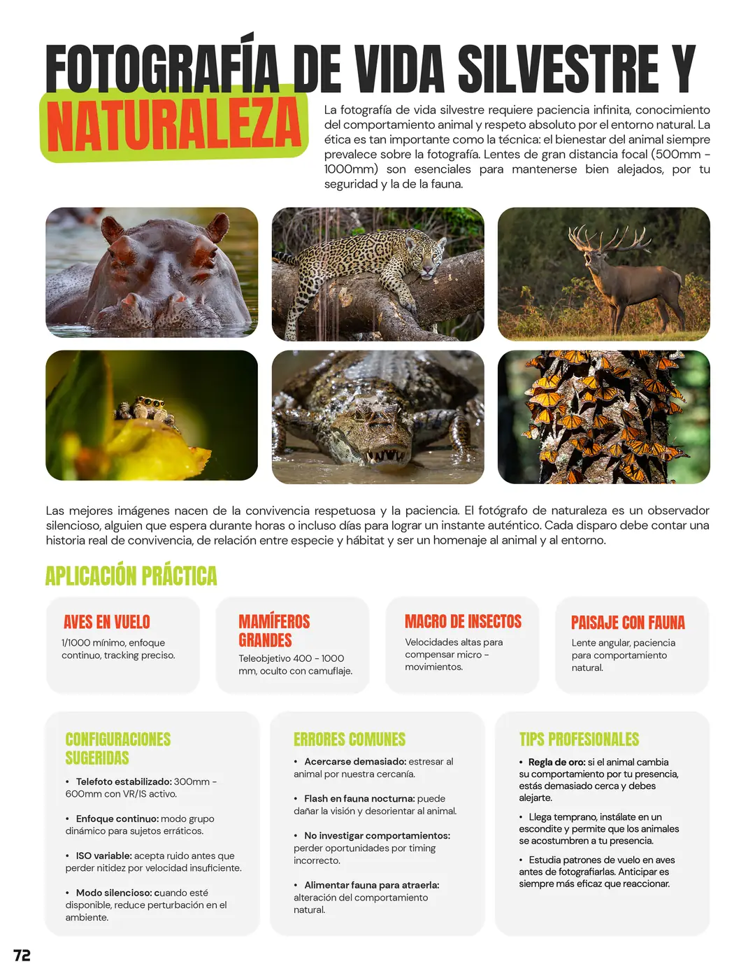 Tarjeta 39 de Enfogram: Fotografía de vida silvestre y naturaleza