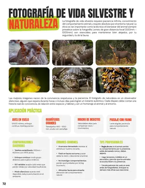 Tarjeta 39: Fotografía de vida silvestre y naturaleza